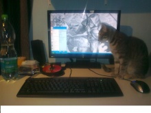 Az én wowos asztalom ^^